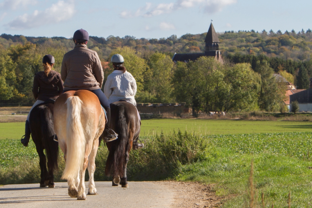 599 randonnee equestre mg 0049